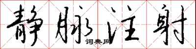 钱沛云静脉注射行书怎么写