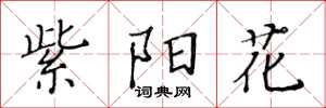 黄华生紫阳花楷书怎么写