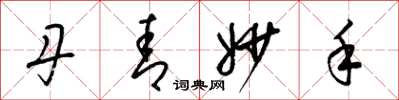 梁锦英丹青妙手草书怎么写