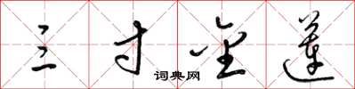 梁锦英三寸金莲草书怎么写