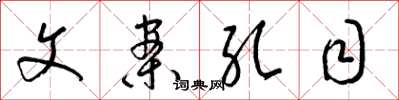 梁锦英文案孔目草书怎么写