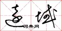 梁锦英远域草书怎么写