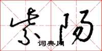 梁锦英紫阳草书怎么写