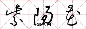 梁锦英紫阳花草书怎么写