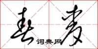 梁锦英春麦草书怎么写