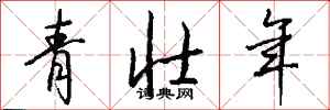 钱沛云青壮年行书怎么写