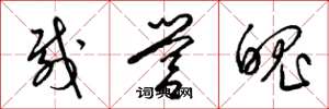 梁锦英载营魄草书怎么写