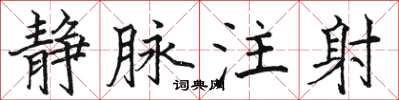骆恒光静脉注射楷书怎么写