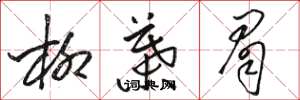 骆恒光柳叶眉草书怎么写