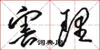 骆恒光害理草书怎么写
