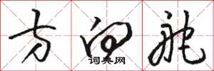 骆恒光方向舵草书怎么写