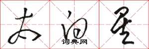 骆恒光太白星草书怎么写