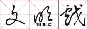 骆恒光文明戏草书怎么写