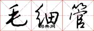 钱沛云毛细管行书怎么写