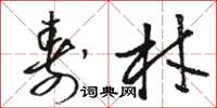 骆恒光寿材草书怎么写