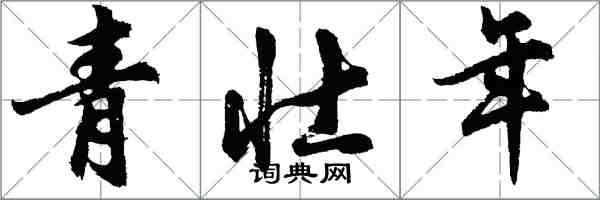 胡问遂青壮年行书怎么写