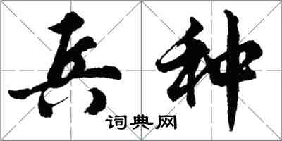 胡问遂兵种行书怎么写