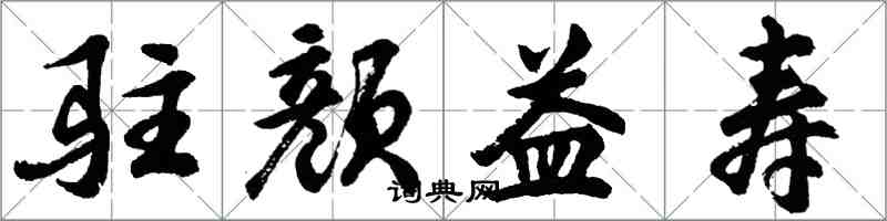 胡问遂驻颜益寿行书怎么写
