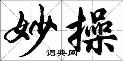 胡问遂妙操行书怎么写