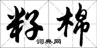 胡问遂籽棉行书怎么写