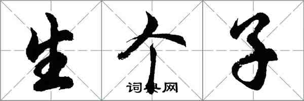 胡问遂生个子行书怎么写