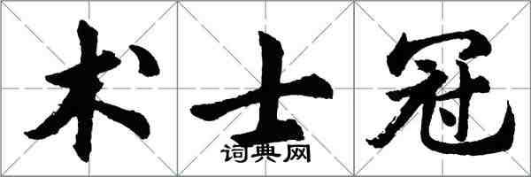 胡问遂术士冠行书怎么写