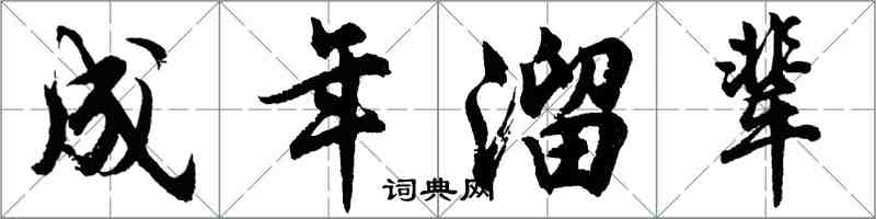 胡问遂成年溜辈行书怎么写