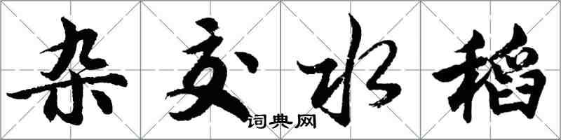 胡问遂杂交水稻行书怎么写