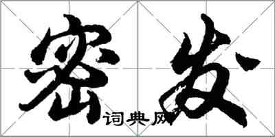 胡问遂密发行书怎么写
