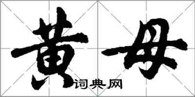 胡问遂黄母行书怎么写