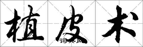 胡问遂植皮术行书怎么写