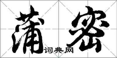 胡问遂蒲密行书怎么写