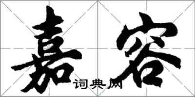 胡问遂嘉容行书怎么写