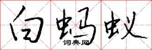 钱沛云白蚂蚁行书怎么写