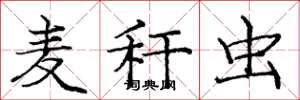 庞中华麦秆虫楷书怎么写