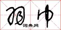 王冬龄羽巾草书怎么写