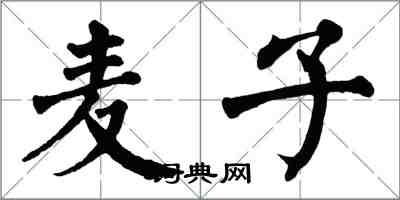 翁闿运麦子楷书怎么写