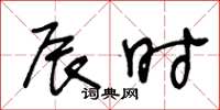 王冬龄辰时草书怎么写