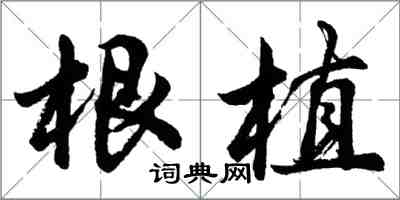 胡问遂根植行书怎么写