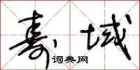 王冬龄寿域草书怎么写