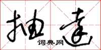 王冬龄抽达草书怎么写