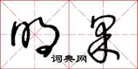 王冬龄明果草书怎么写