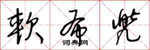 王冬龄软布兜草书怎么写