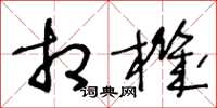 王冬龄相机草书怎么写