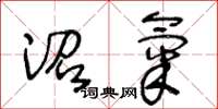 王冬龄沼气草书怎么写