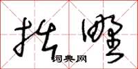 王冬龄拙野草书怎么写