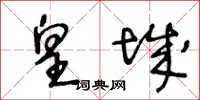 王冬龄皇城草书怎么写