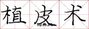 庞中华植皮术楷书怎么写