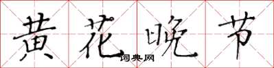 黄华生黄花晚节楷书怎么写
