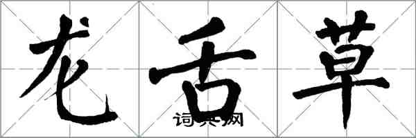 翁闿运龙舌草楷书怎么写